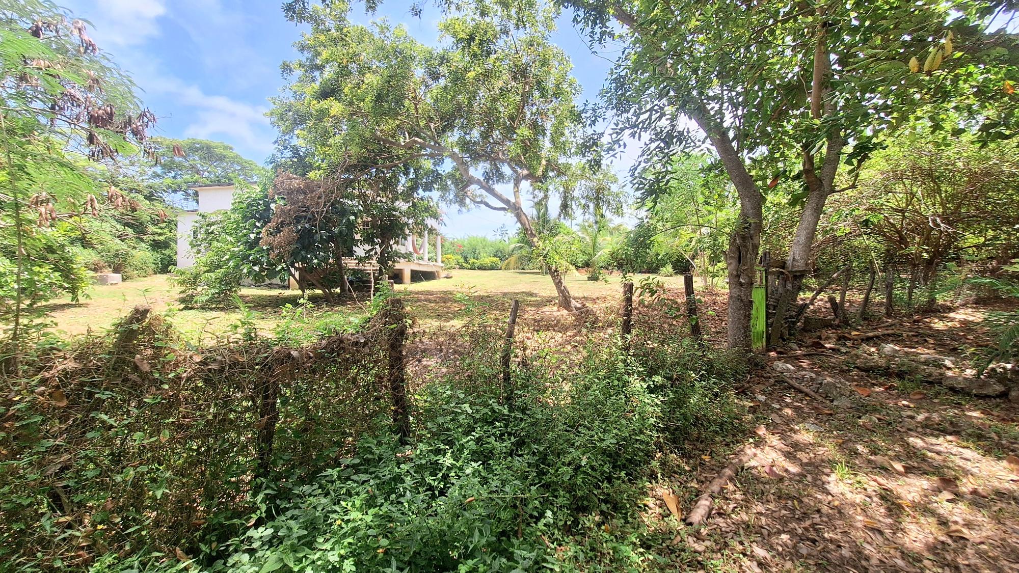 House For Sale: DON CHRISTOPHER@~apos;S POINT, Robins Bay | $314,000 photo 8