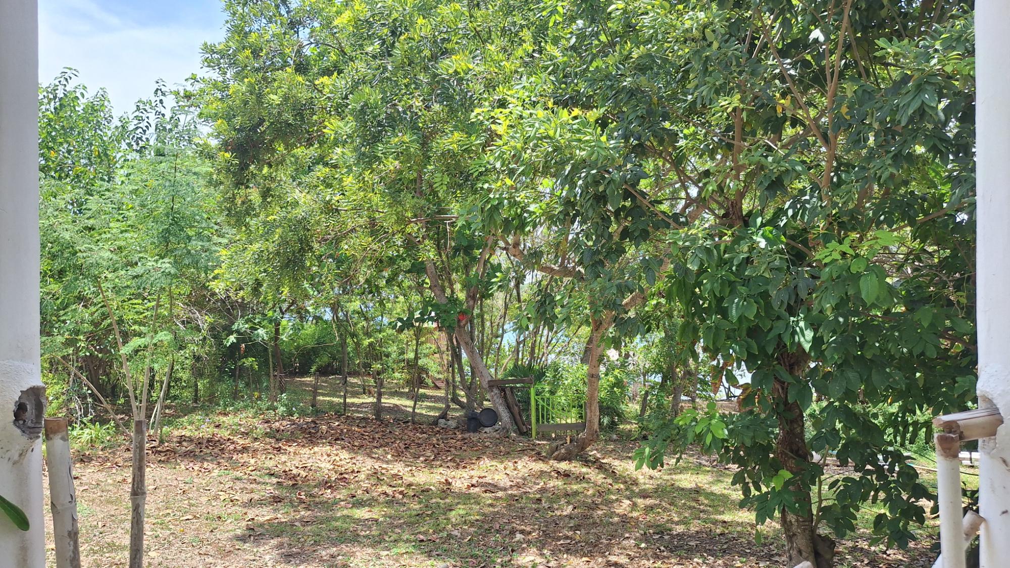 House For Sale: DON CHRISTOPHER@~apos;S POINT, Robins Bay | $314,000 photo 12