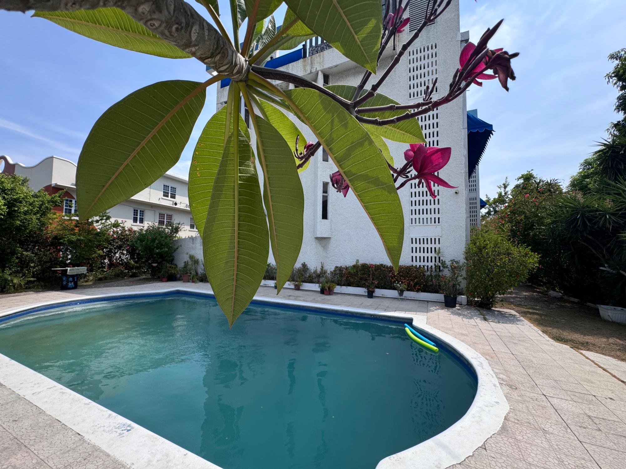 Apartment For Sale: REKADOM AVENUE, Kingston 10 | $42,500,000 photo 3