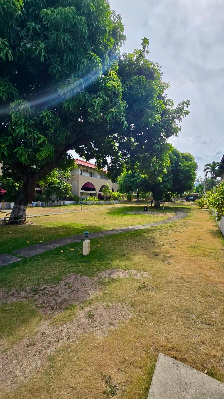 Apartment For Sale: HOPE ROAD, Kingston 6 | $33,000,000 photo 10
