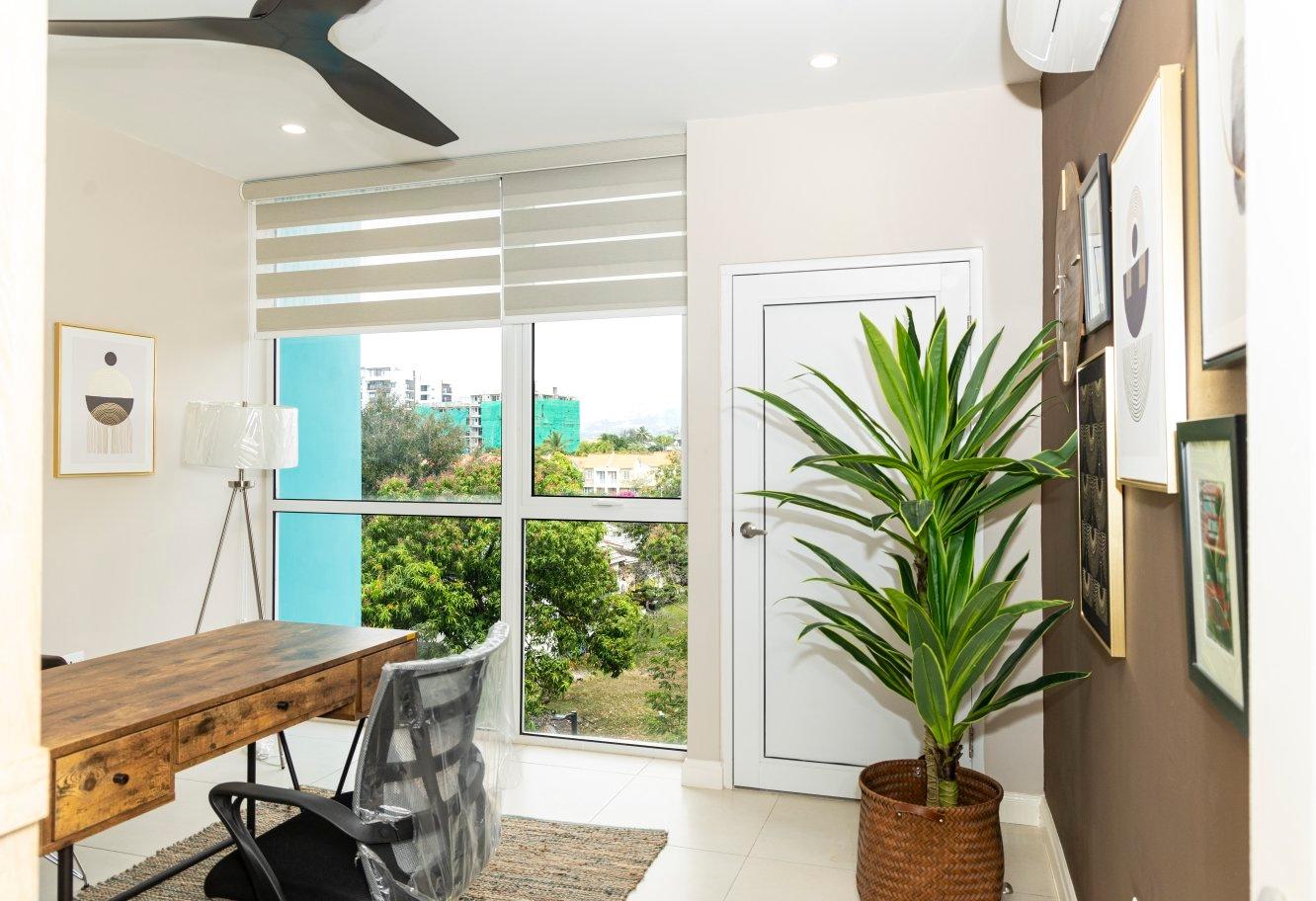 Apartment For Sale: MUSGRAVE AVENUE, Kingston 5 | $45,000,000 photo 20