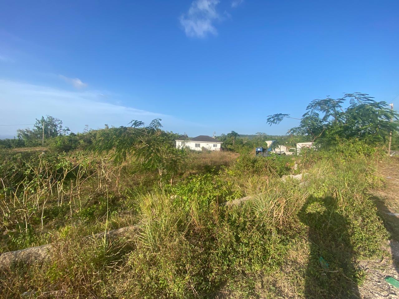 House For Sale: BONHAM SPRING, Bonham Park | $39,000,000 photo 8