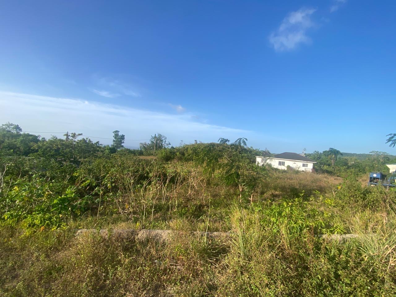 House For Sale: BONHAM SPRING, Bonham Park | $39,000,000 photo 9