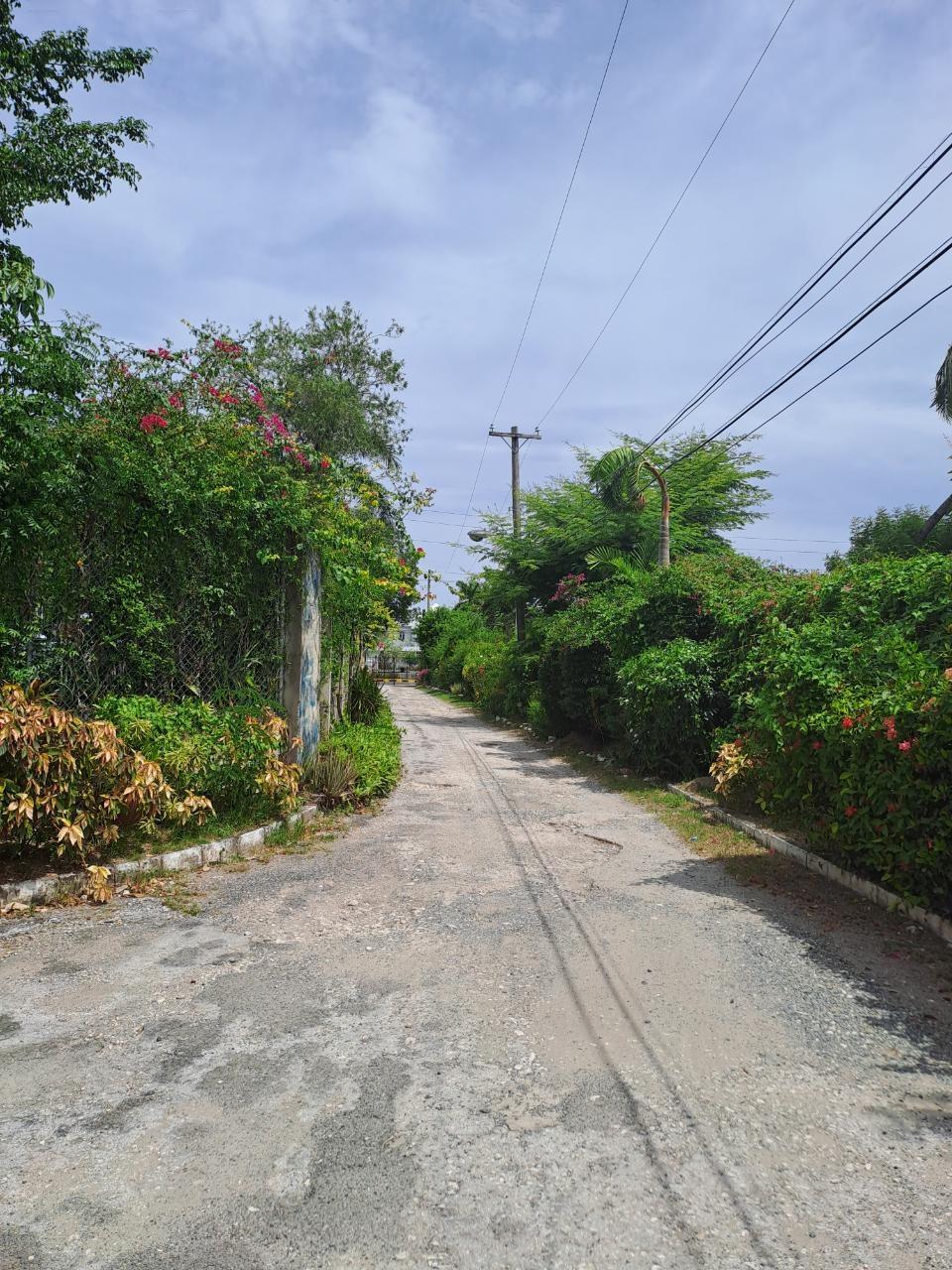 Apartment For Rent: HOPE ROAD, Kingston 10 | $120,000 photo 7