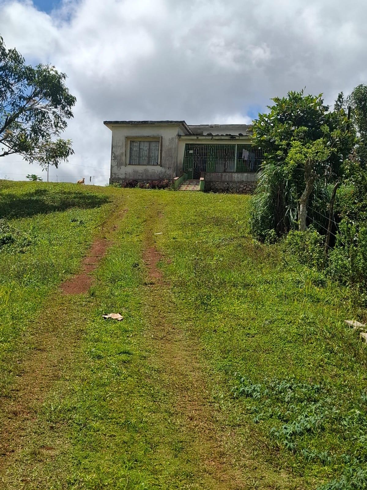 House For Sale: RAMBLE CLAREMONT ST. ANN, Claremont | $60,000,000