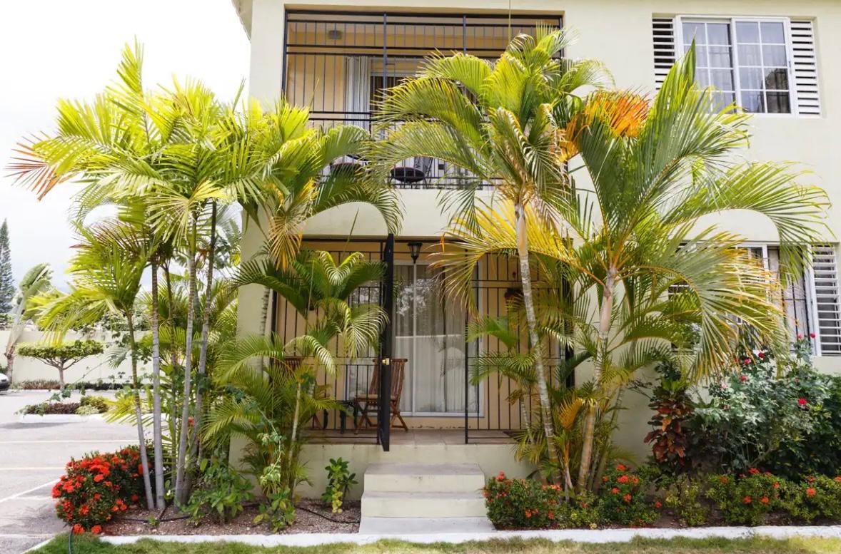 Apartment For Rent: WELLINGTON DRIVE, Kingston 6 | $170,000