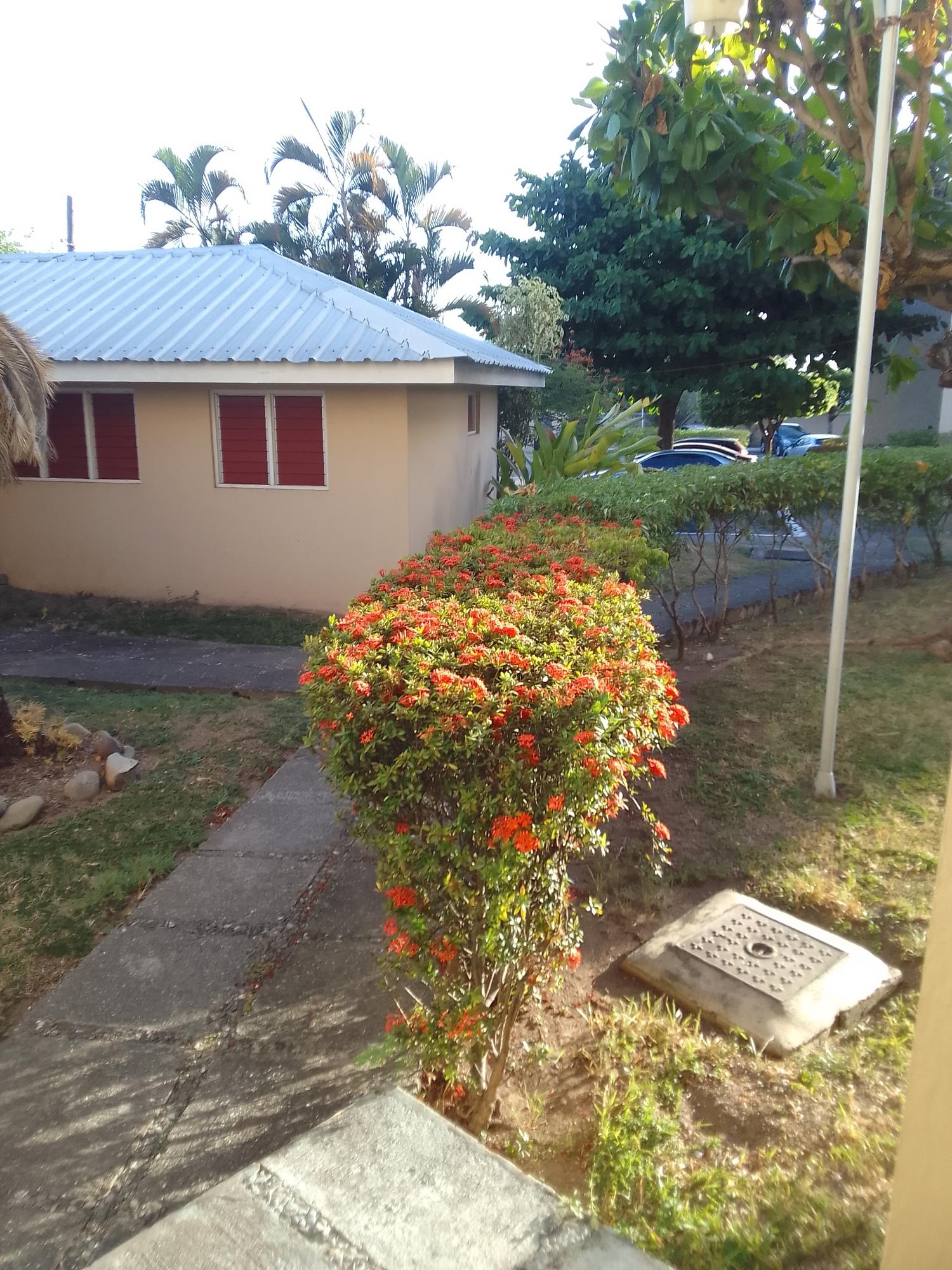 Apartment For Rent: GROVE PARK ROAD, Kingston 8 | $150,000 photo 6
