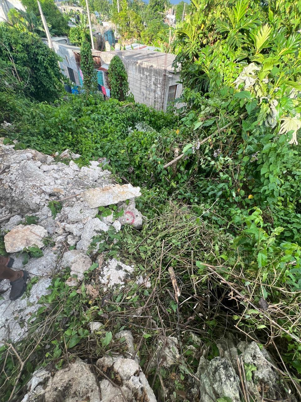 House For Sale: WHITHALL PHASE 1,NEGRIL P, Negril | $20,000,000 photo 14