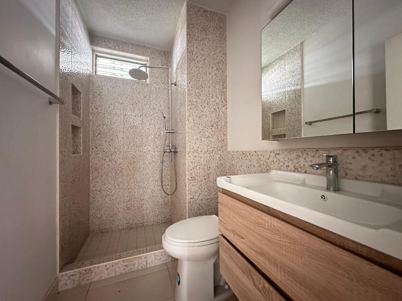 Apartment For Rent: HOPE ROAD, Kingston 6 | $205,000 photo 8