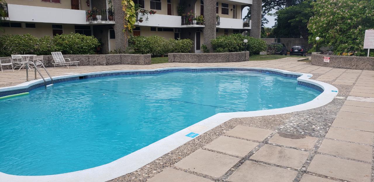 Apartment For Rent: HOPE ROAD, Kingston 6 | $205,000 photo 24