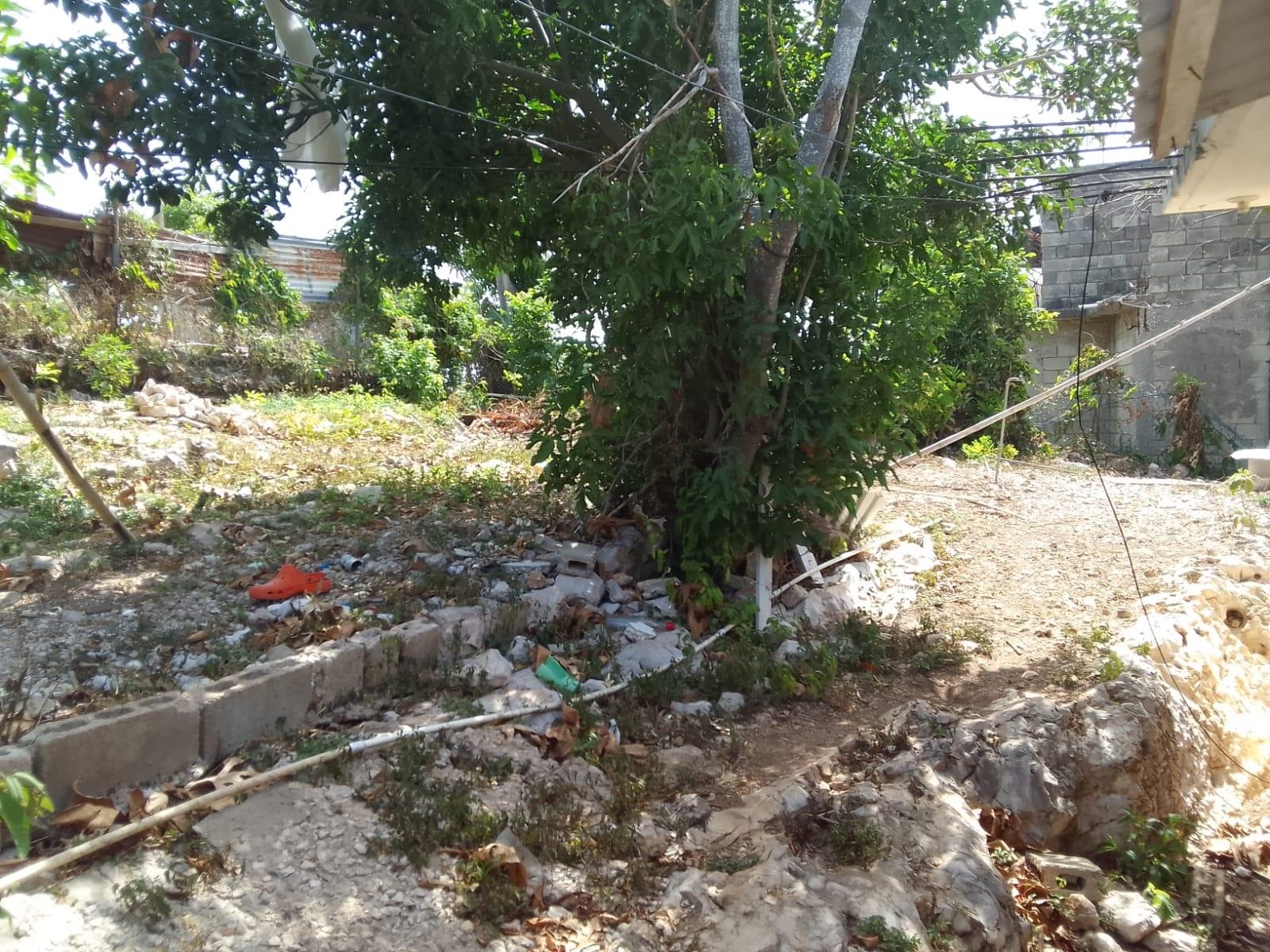 House For Sale: NORWOOD PEN, Montego Bay | $16,500,000 photo 12