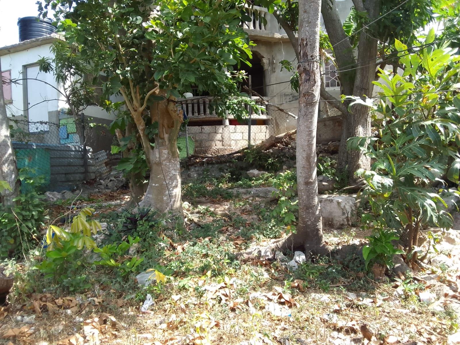 House For Sale: NORWOOD PEN, Montego Bay | $16,500,000 photo 13