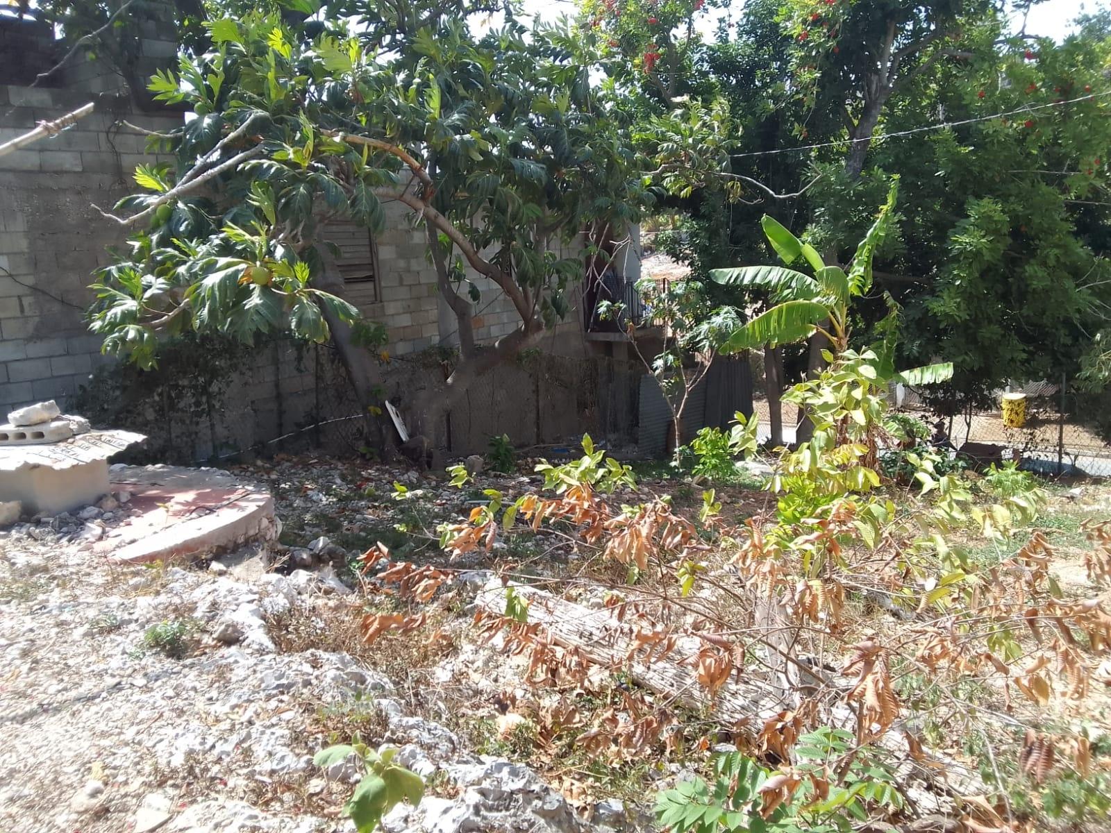 House For Sale: NORWOOD PEN, Montego Bay | $16,500,000 photo 16