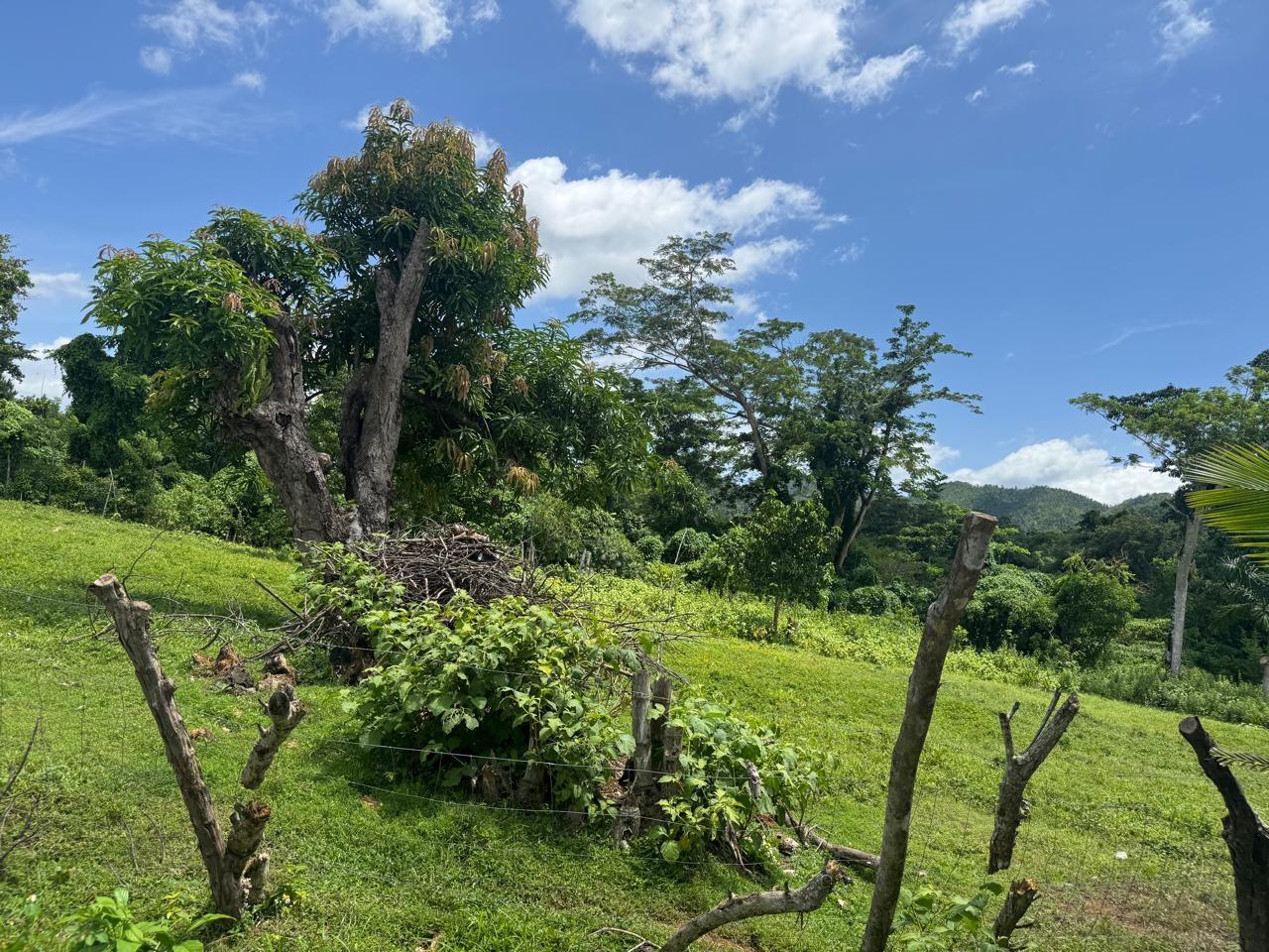 House For Sale: MARCH TOWN,CAVE VALLEY,HA, Cave Valley | $26,500,000 photo 19