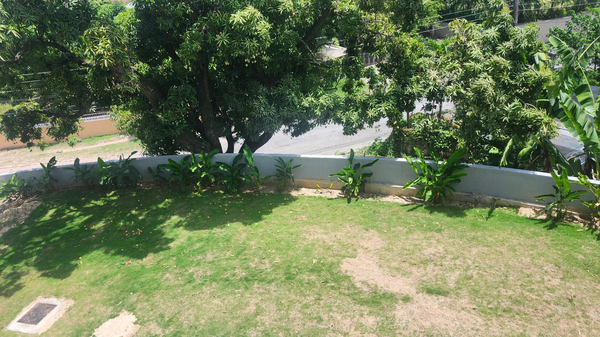Apartment For Rent: 2 1/2 GRAHAM HEIGHTS, Kingston 6 | $1,500 photo 19