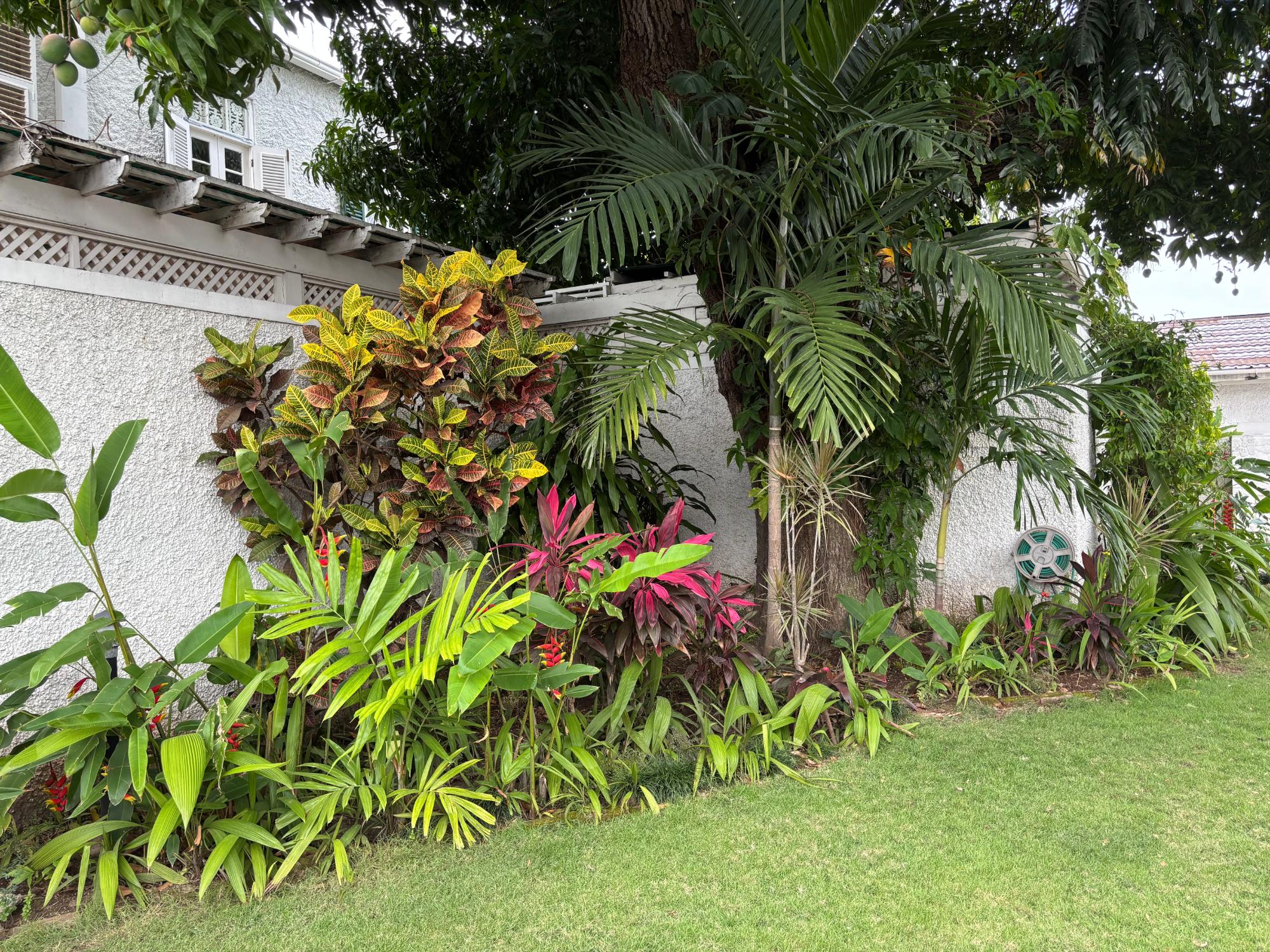 House For Rent: 3-5 GREAT HOUSE BOULEVARD, Kingston 6 | $3,500 photo 3