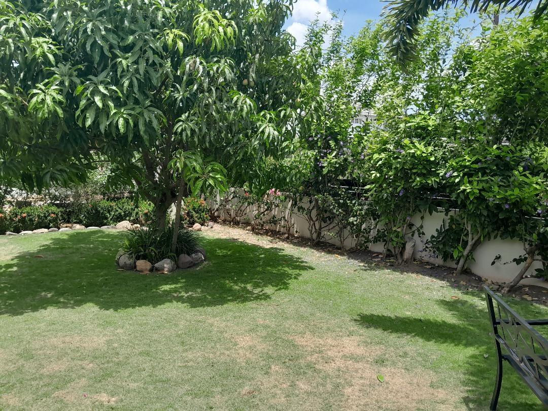 House For Sale: HALART DRIVE, Kingston 6 | $87,000,000 photo 5