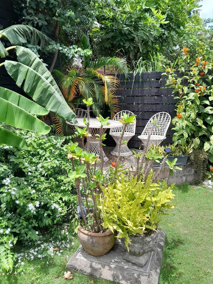 House For Sale: HALART DRIVE, Kingston 6 | $87,000,000 photo 6