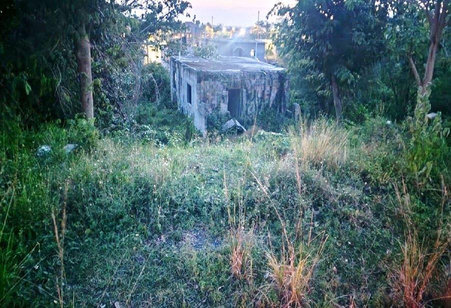 House For Sale: LUANA PEN, ST. ELIZABETH, Black River | $9,000,000