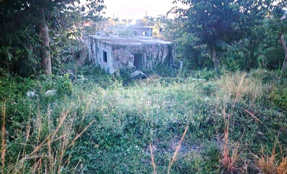 House For Sale: LUANA PEN, ST. ELIZABETH, Black River | $9,000,000 photo 3