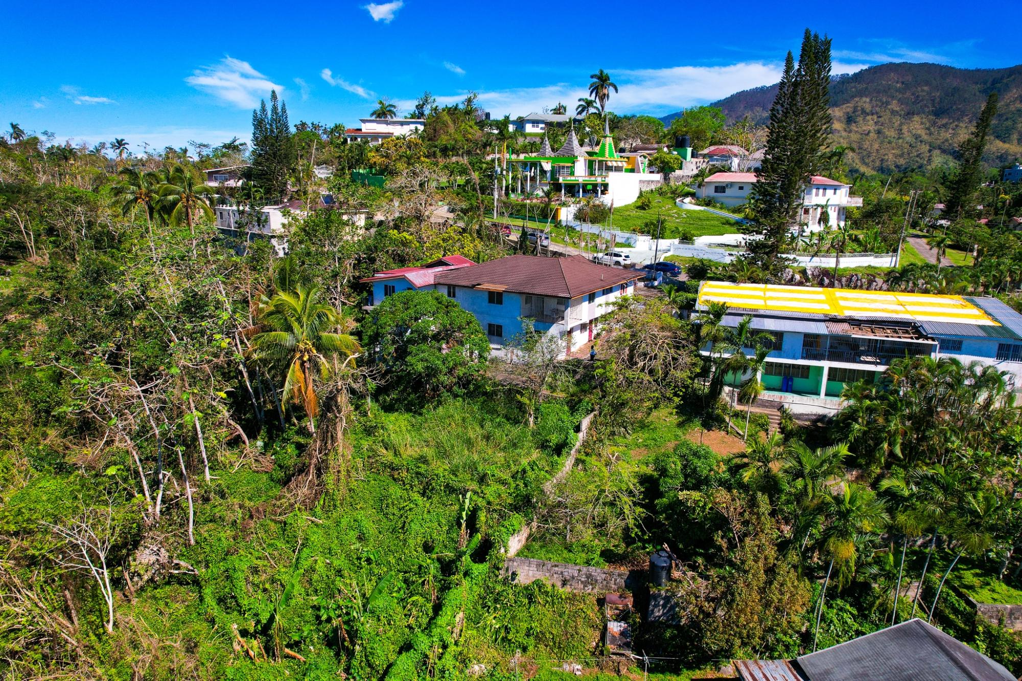 House For Sale: FORT GEORGE CRESCENT, Kingston 9 | $42,000,000 photo 11