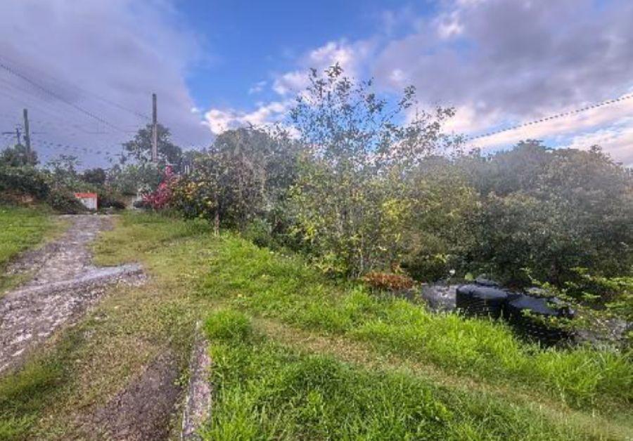 House For Sale: GLENGOFFE, Glengoffe | $8,000,000 photo 12
