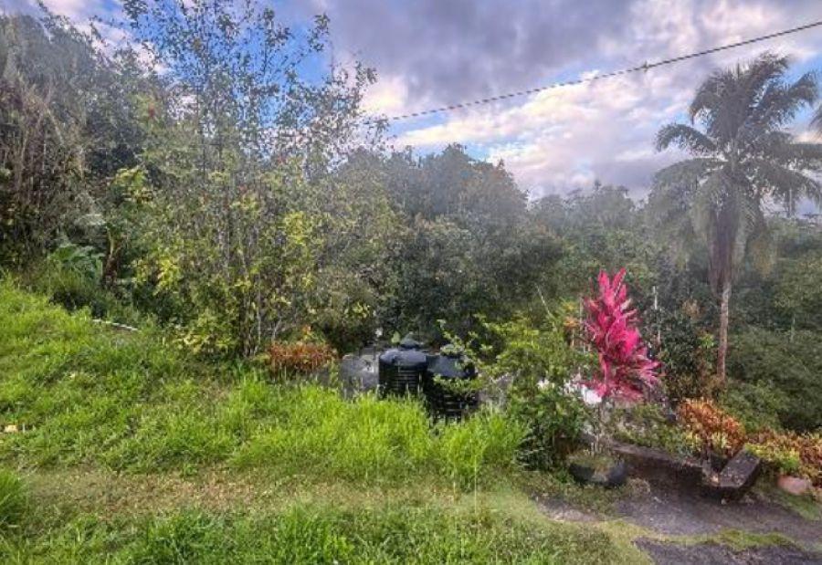House For Sale: GLENGOFFE, Glengoffe | $8,000,000 photo 13