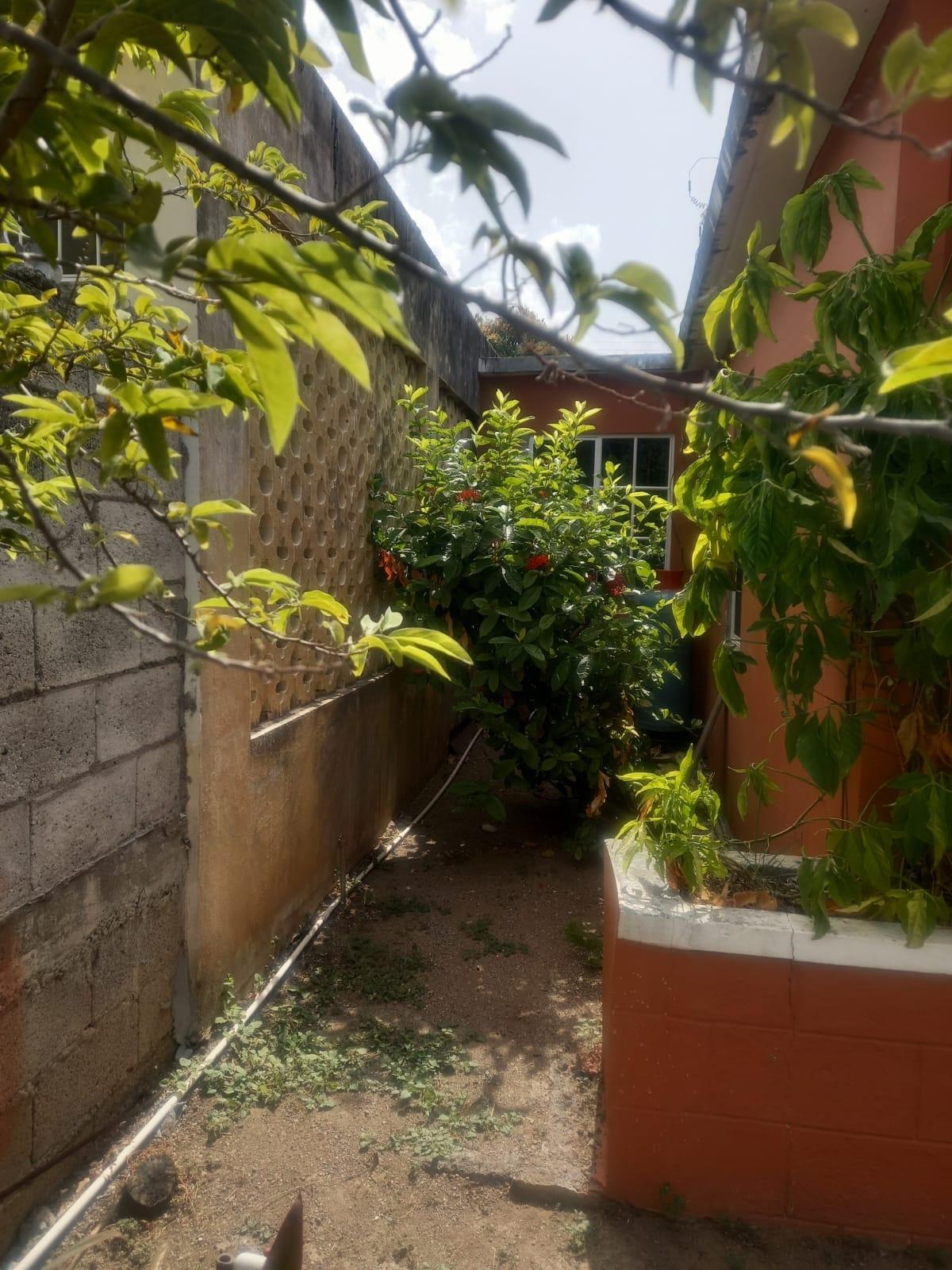 House For Sale: MARTELLO DRIVE, Kingston 17 | $30,000,000 photo 9