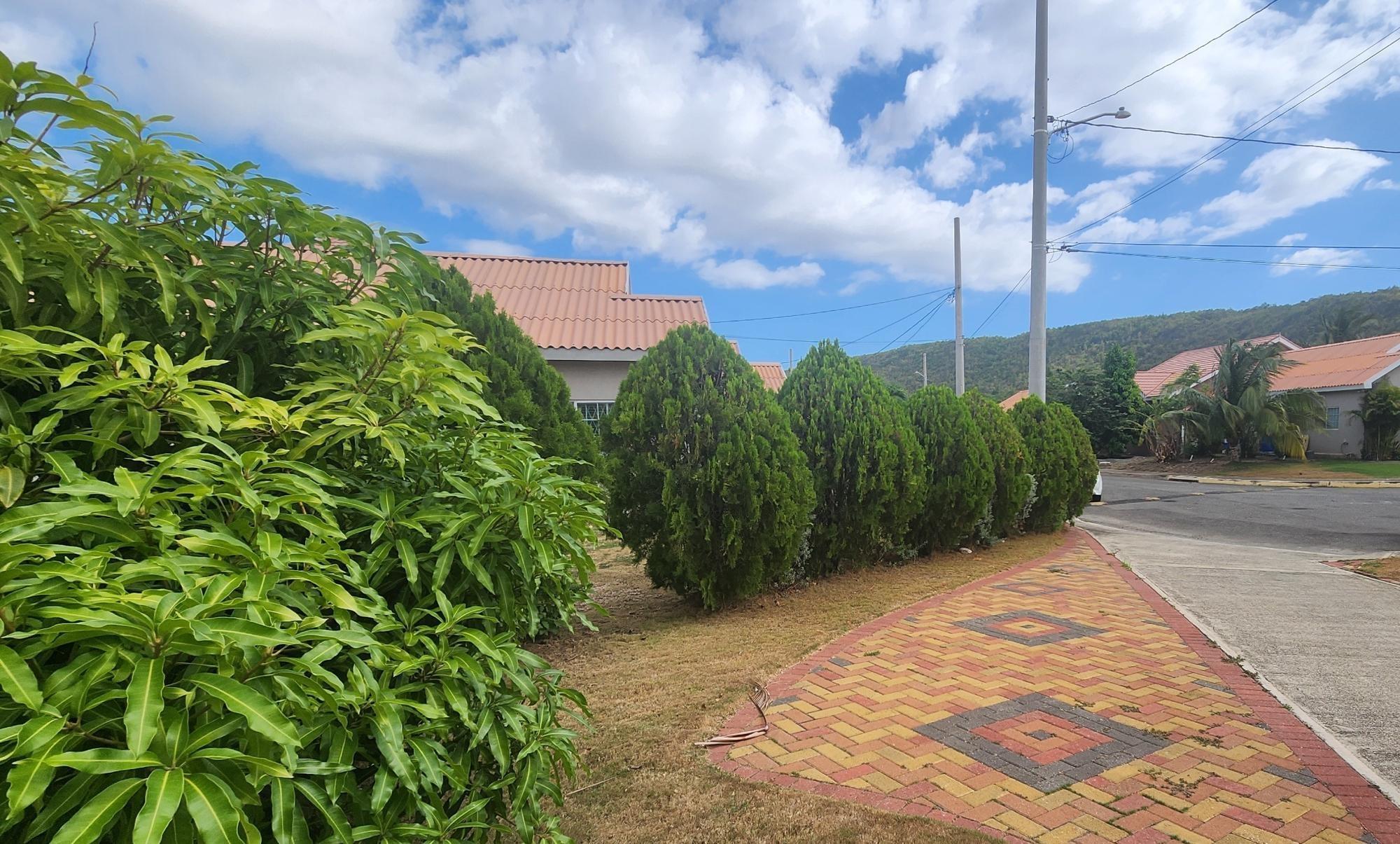House For Rent: ELIA TADDEO COURSE, Caymanas | $1,150 photo 19