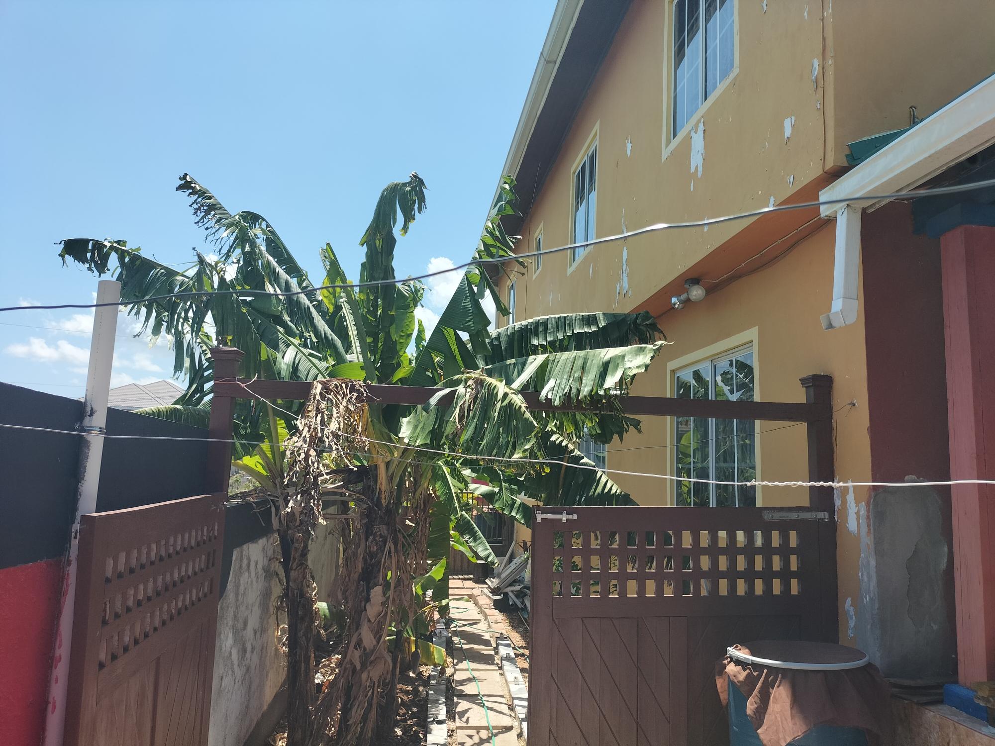 House For Rent: OCEANIC AVENUE, TOBY HEIG, Tobby Heights | $40,000 photo 6
