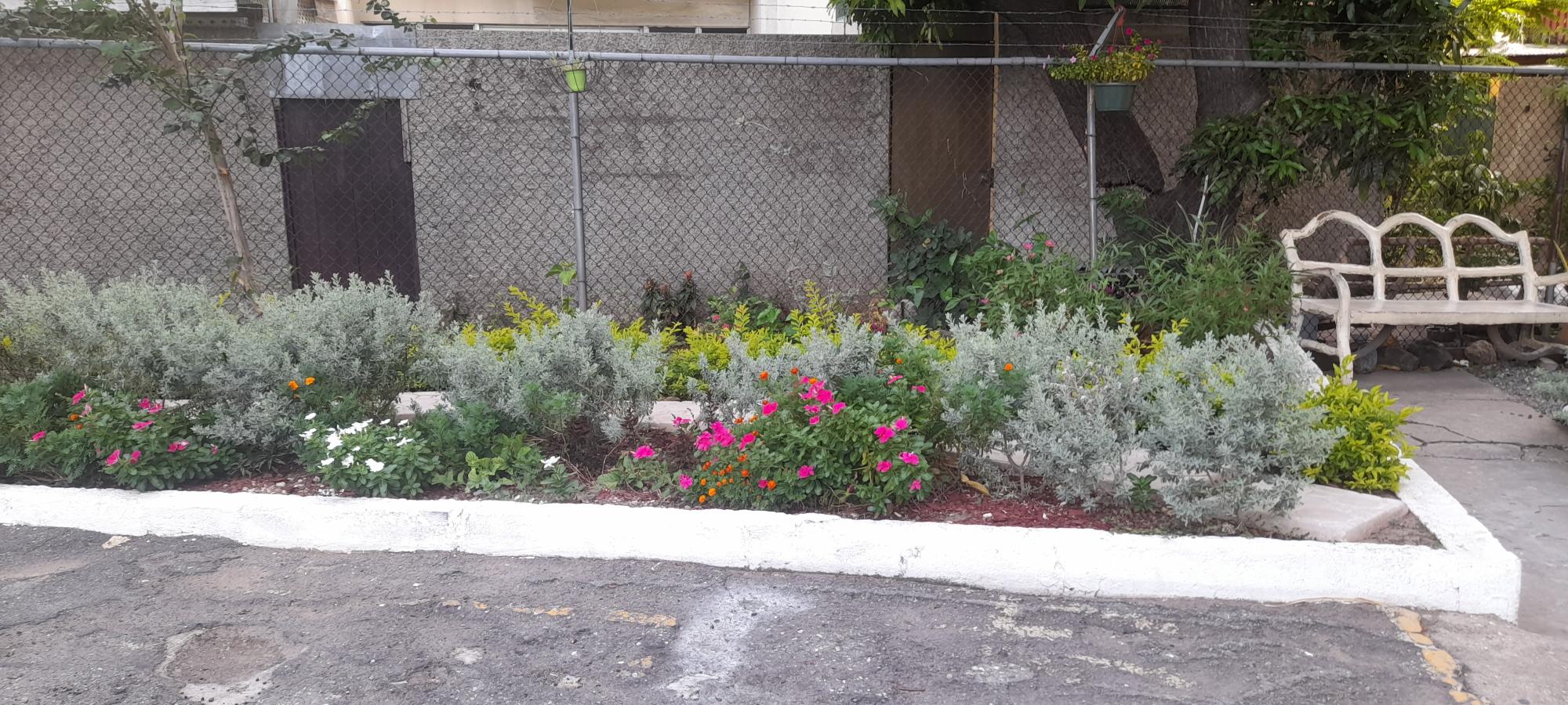 Apartment For Rent: OXFORD ROAD, Kingston 5 | $180,000 photo 3