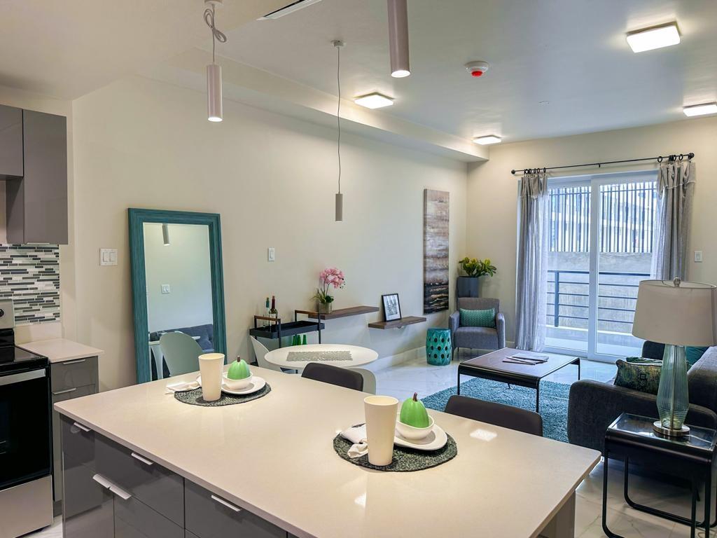 Apartment For Sale: NEW BRUNSWICK VILLAGE, Spanish Town | $27,830,000 photo 22