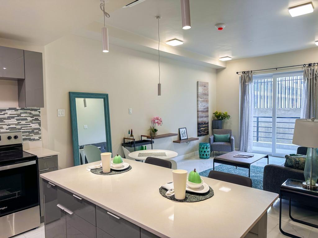 Apartment For Sale: NEW BRUNSWICK VILLAGE, Spanish Town | $27,830,000 photo 23
