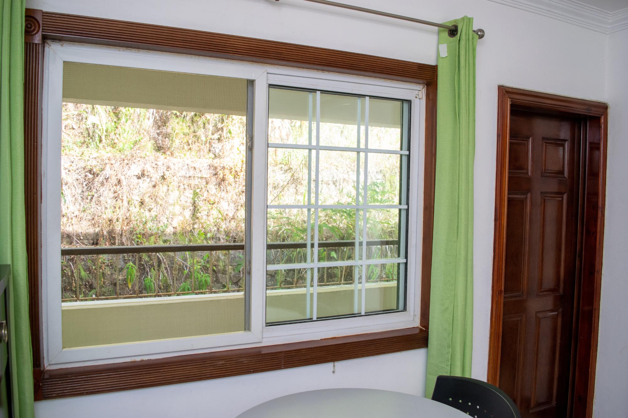 Apartment For Rent: NEWCASTLE ROAD, ST. ANDRE, Irish Town P.A. | $185,000 photo 15