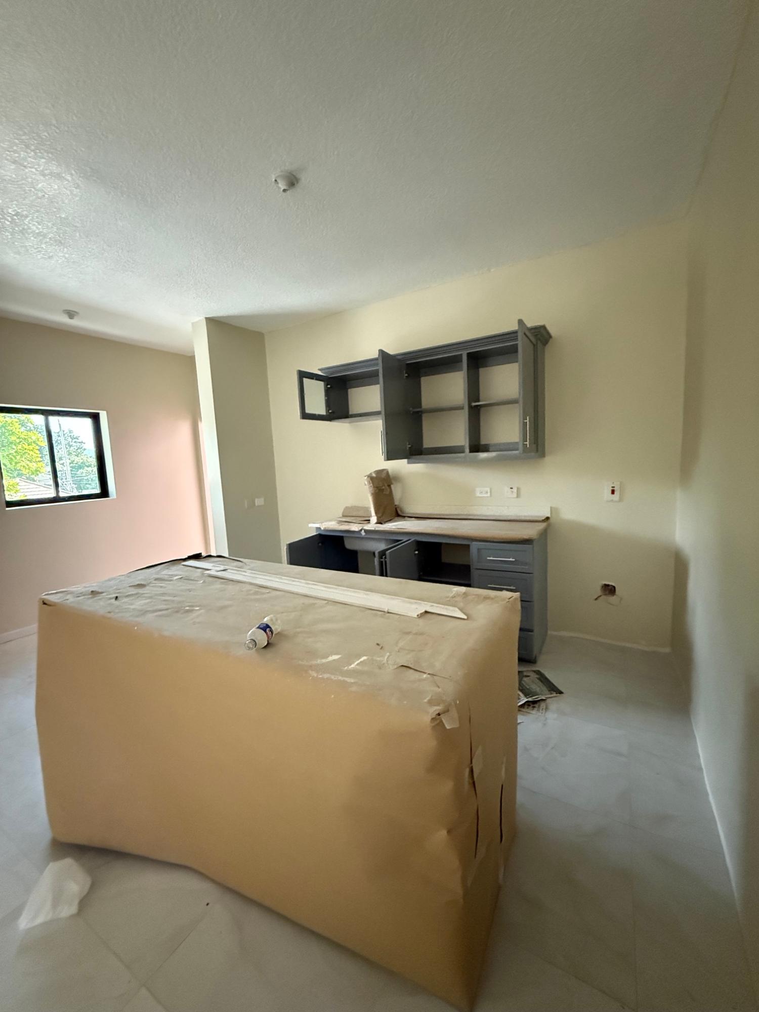 Apartment For Sale: MORSHAM AVENUE, KINGSTON, Kingston 10 | $37,000,000 photo 9