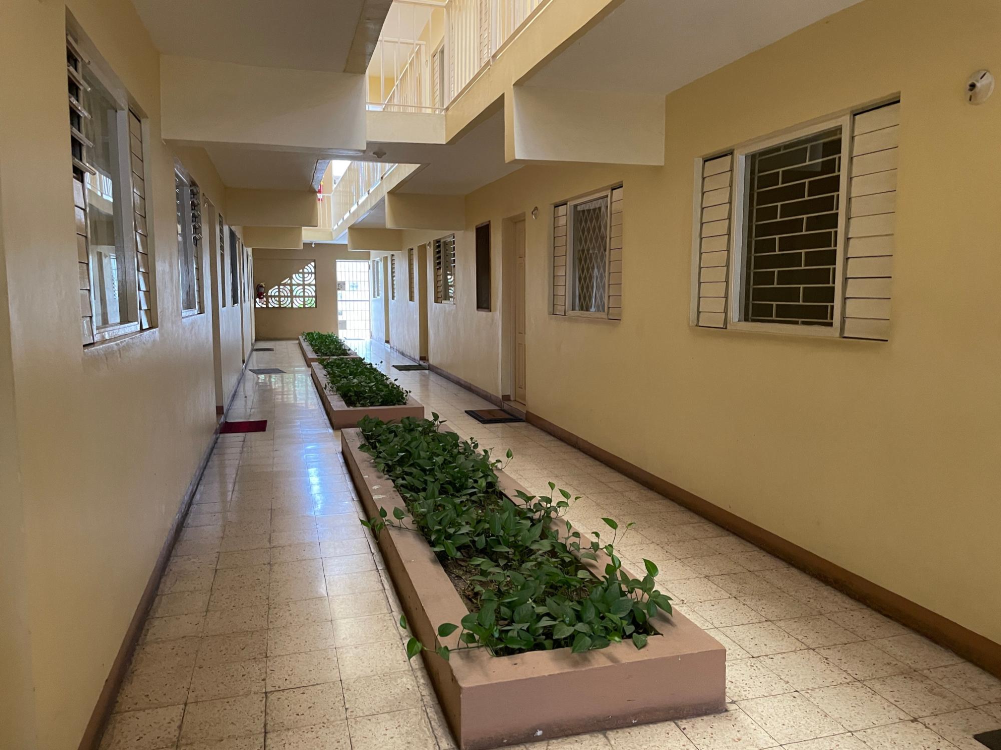 Apartment For Rent: RAVINIA ROAD, Kingston 6 | $110,000 photo 5
