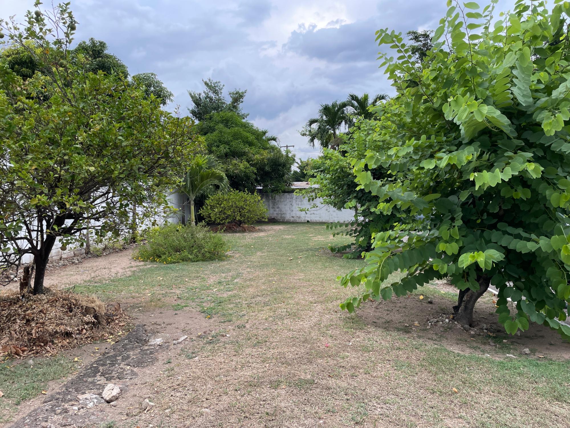 Apartment For Rent: RAVINIA ROAD, Kingston 6 | $110,000 photo 18