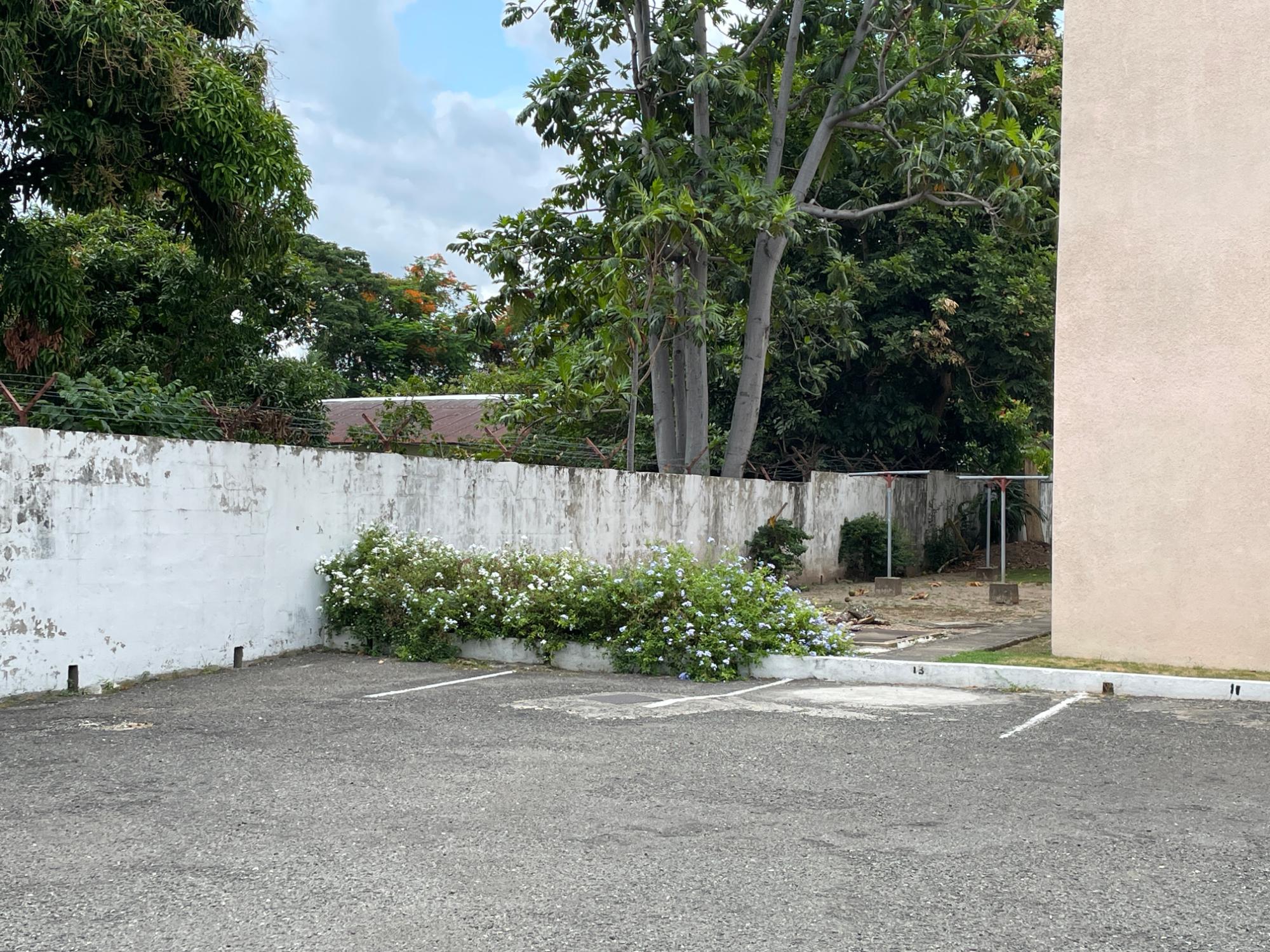 Apartment For Rent: RAVINIA ROAD, Kingston 6 | $110,000 photo 19