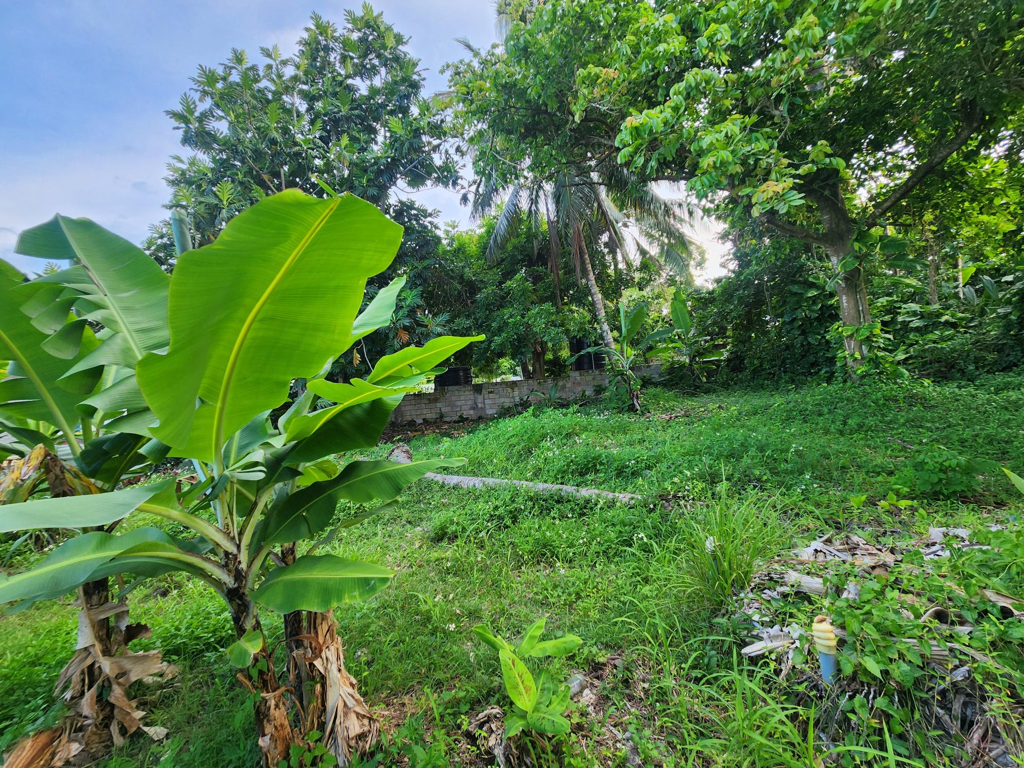 House For Sale: REID BLVD. POMPANO TOWER, Tower Isle | $83,289,500 photo 7