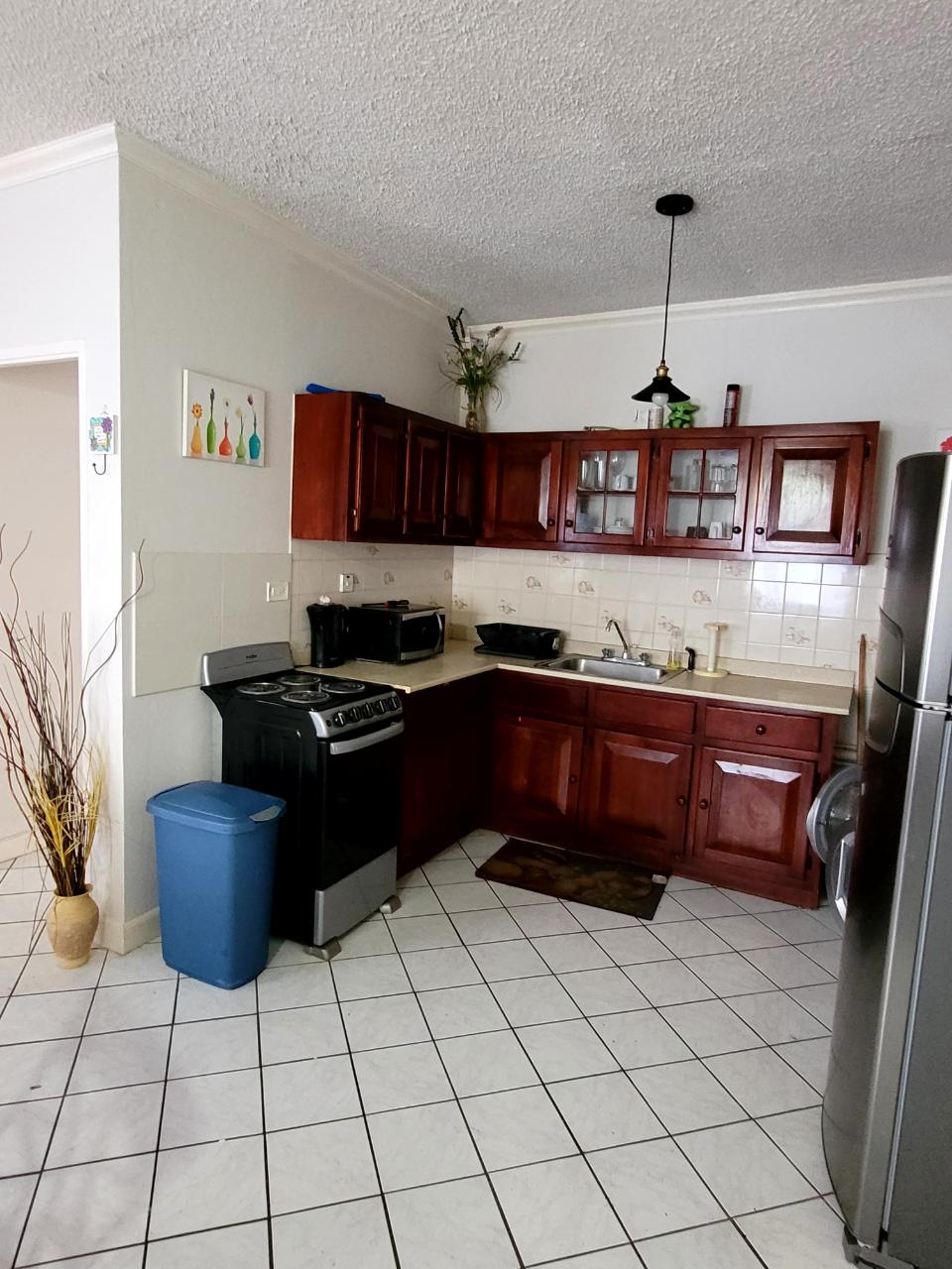 Apartment For Rent: EAST AVENUE, Kingston 8 | $110,000 photo 5