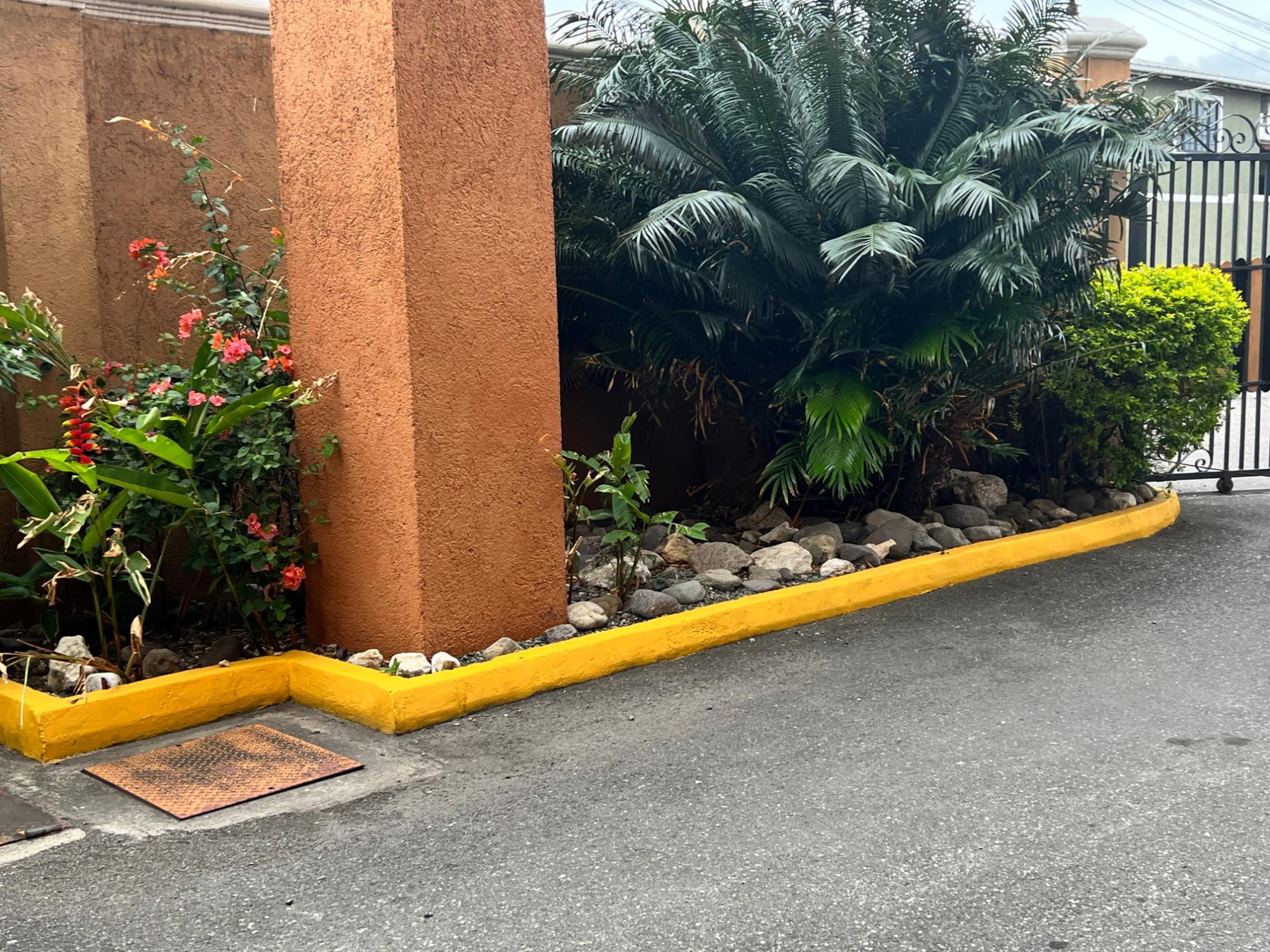 Apartment For Rent: KENSINGTON CRESCENT, Kingston 5 | $160,000 photo 16