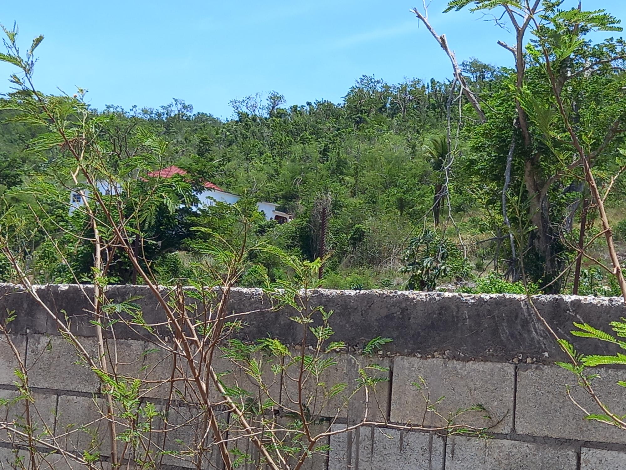 House For Sale: COCONUT GROVE, TRELAWNY, Green Park | $22,000,000 photo 2