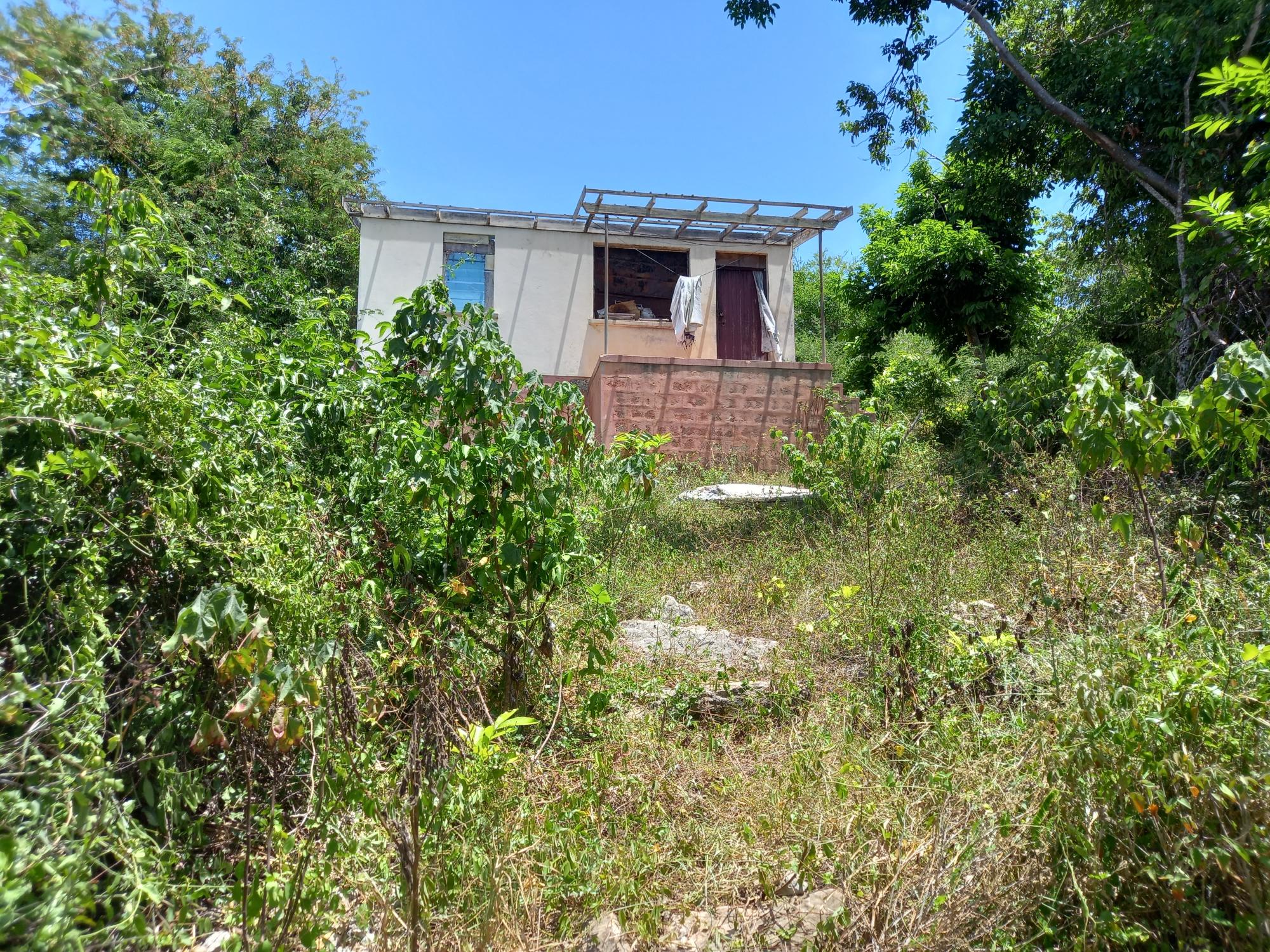 House For Sale: COCONUT GROVE, TRELAWNY, Green Park | $22,000,000 photo 6
