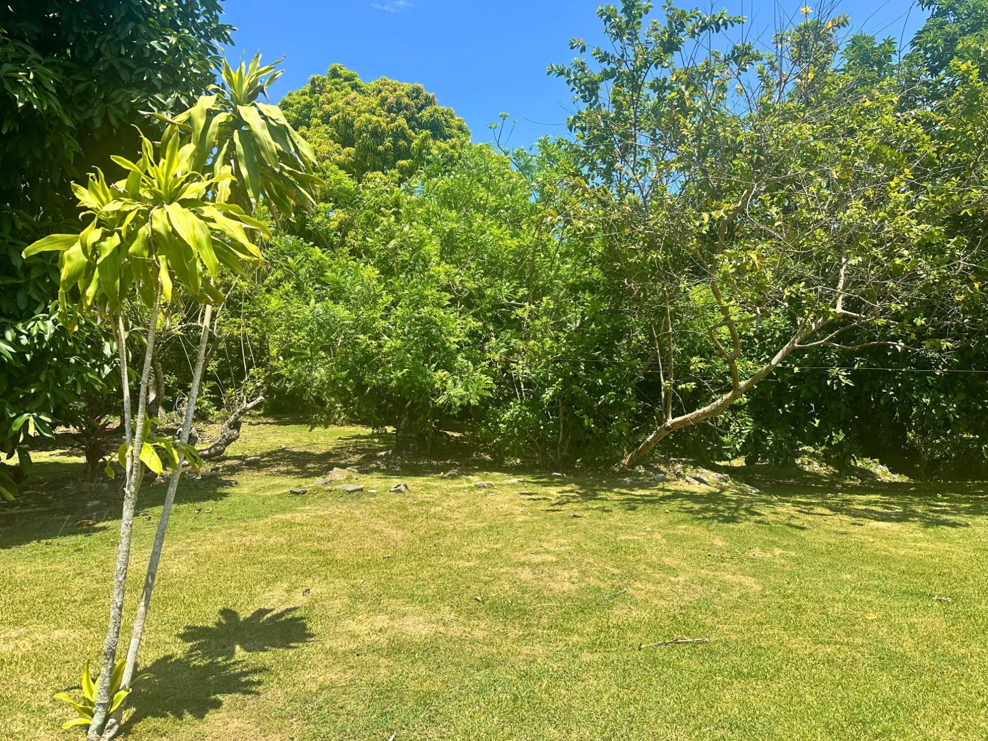 House For Sale: HART HILL, Hart Hill | $235,000 photo 19