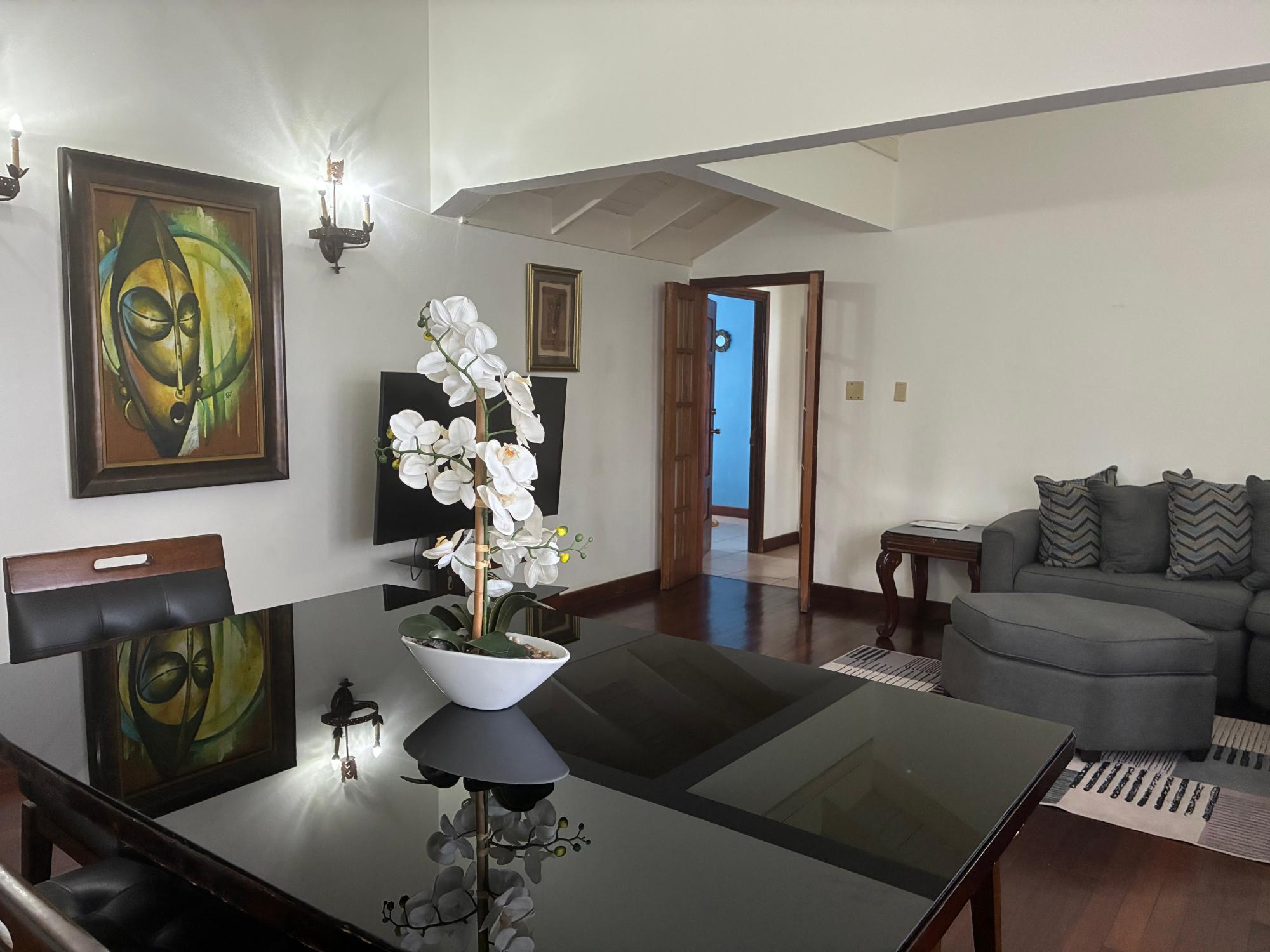 Apartment For Rent: SKYLINE DRIVE. JACKS HILL, Kingston 6 | $1,000
