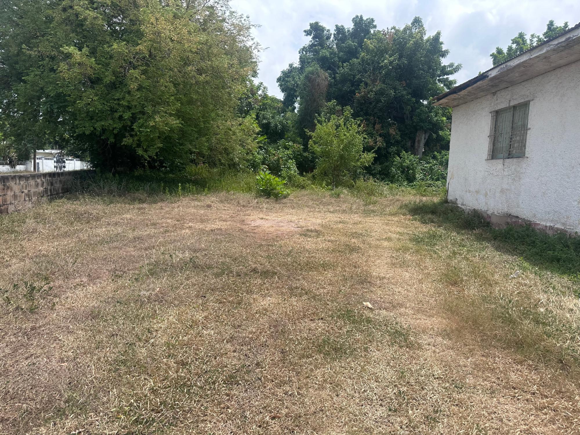 House For Sale: HALDANE AVENUE, KINGSTON, Kingston 20 | $41,000,000