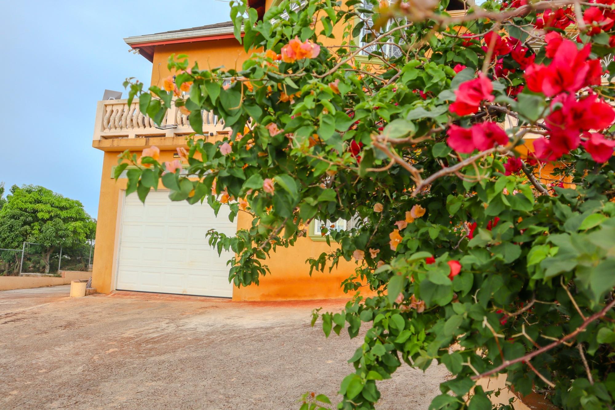 House For Sale: MUNRO, MALVERN, Malvern | $500,000 photo 6