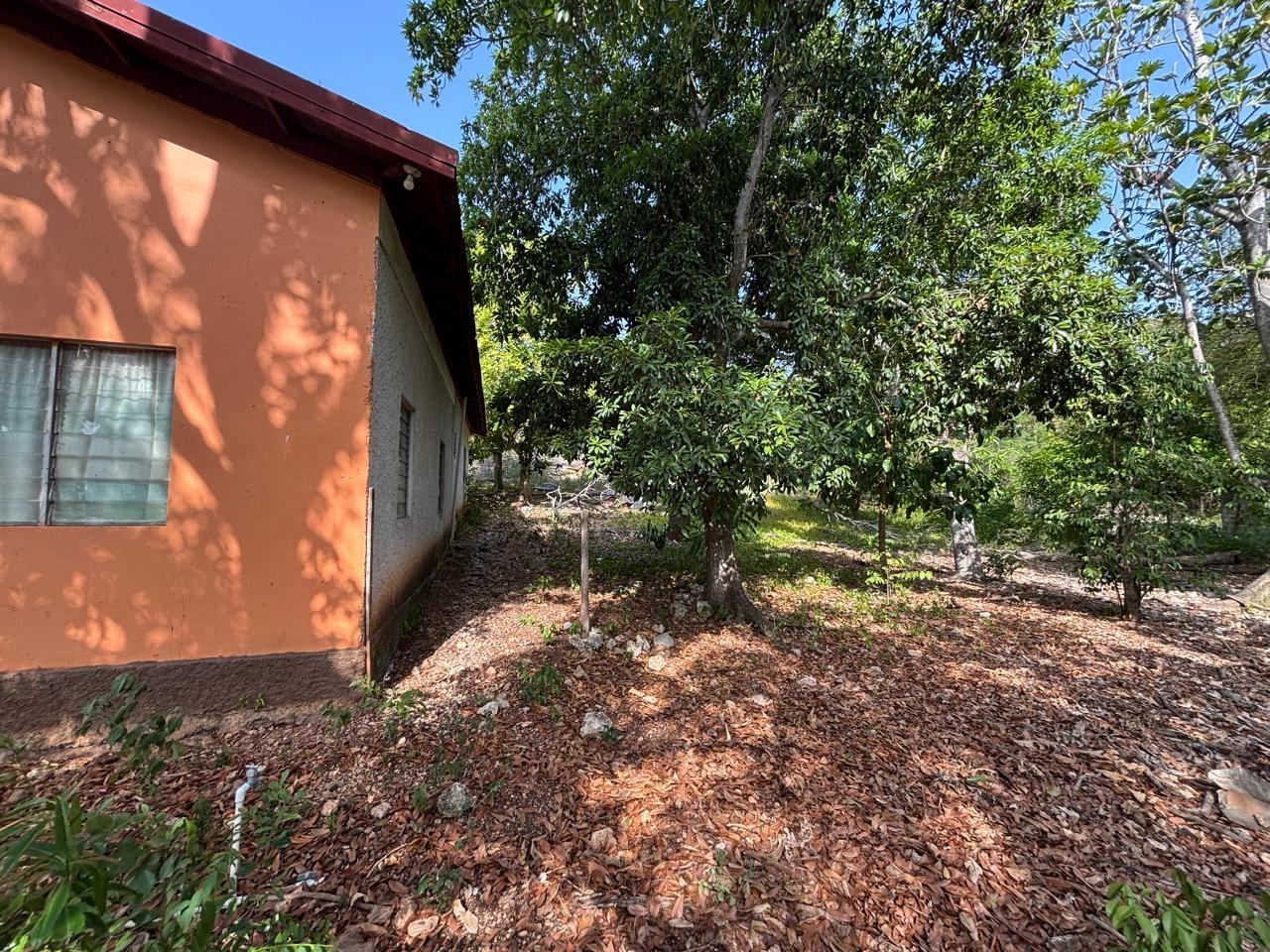 House For Sale: COATES PEN, MAY PEN, CLAR, May Pen | $17,500,000 photo 5