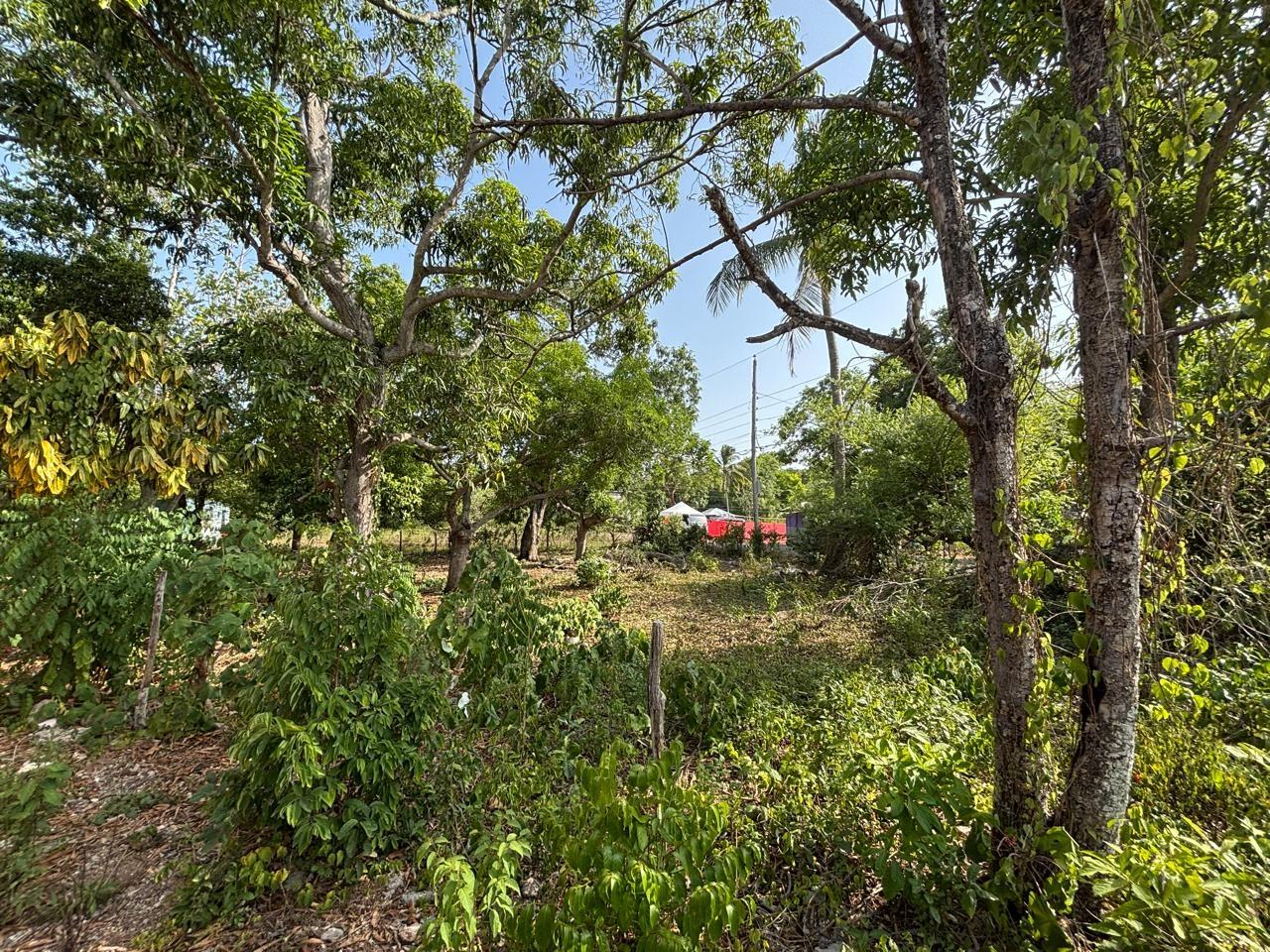 House For Sale: COATES PEN, MAY PEN, CLAR, May Pen | $17,500,000 photo 6