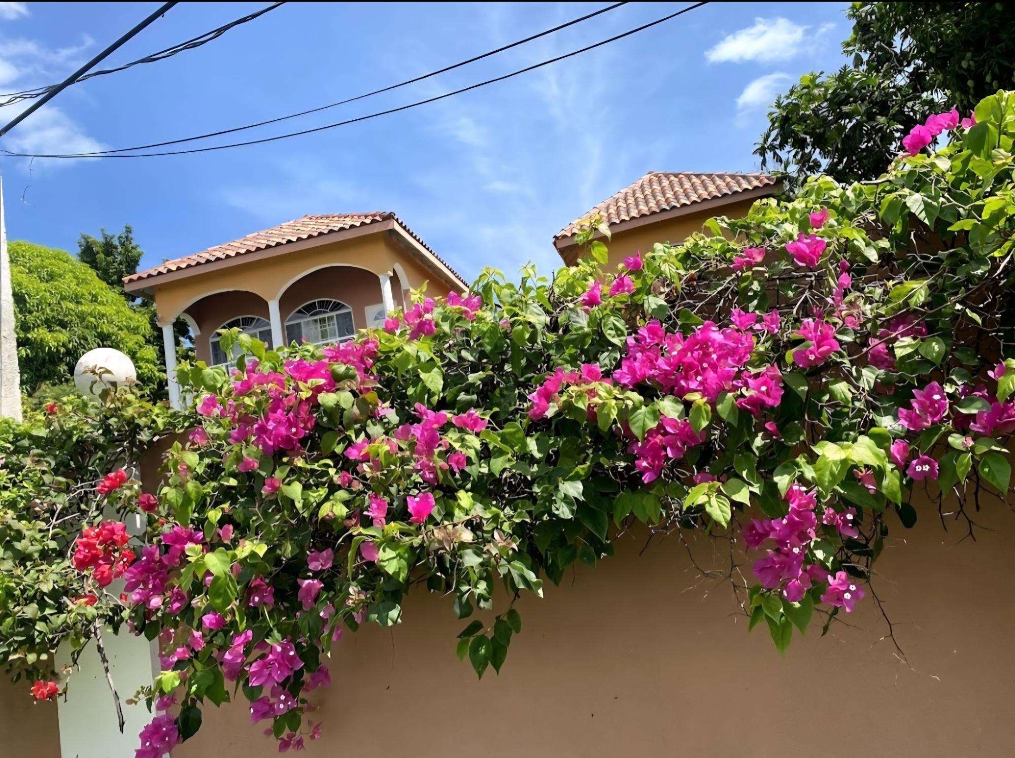 Apartment For Rent: HAMILTON DRIVE, Montego Bay | $95,000 photo 2